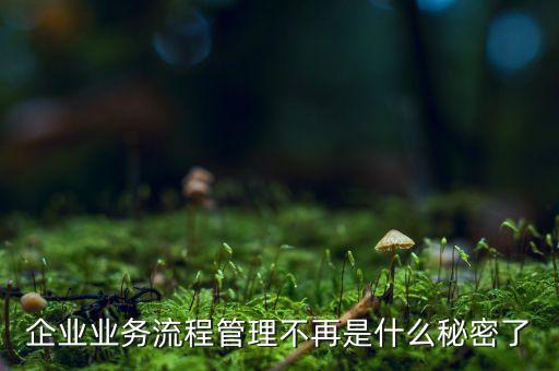 流程管理的亂象是什么，企業(yè)業(yè)務(wù)流程管理不再是什么秘密了