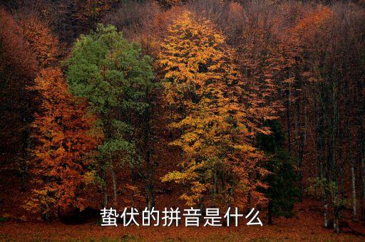 人的蟄伏期是什么，寂寂人定初中的人定是什么時候用天干地支中的回答相當