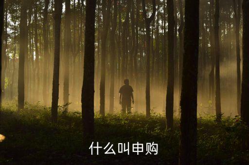 打新申購(gòu)什么意思，什么叫申購(gòu)