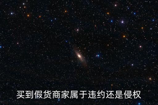 假進(jìn)口商家承擔(dān)什么責(zé)任，商家銷售假冒商品市場(chǎng)管理方要承擔(dān)多大的管理責(zé)任所在經(jīng)營地的