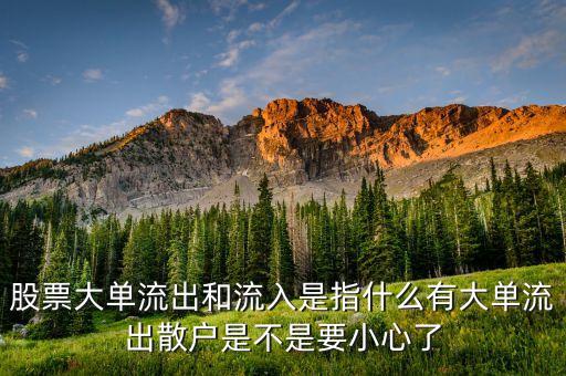 大單資金流出說(shuō)明什么，實(shí)時(shí)資金流向大單進(jìn)出表明什么意思