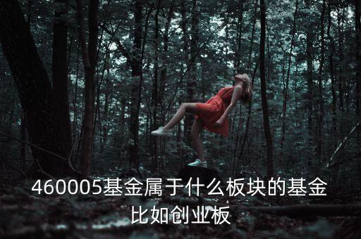 富國天益價值重倉什么板塊，460005基金屬于什么板塊的基金比如創(chuàng)業(yè)板