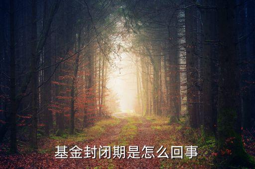 封閉式基金為什么要封閉，為什么認(rèn)購基金要封閉期封閉期是3個(gè)月內(nèi)不得提現(xiàn)
