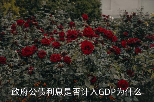 政府公債利息是什么，什么叫政府公債利息