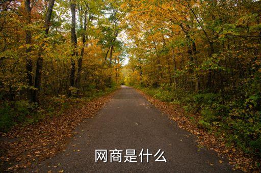 dt網(wǎng)商是什么，網(wǎng)商是什么