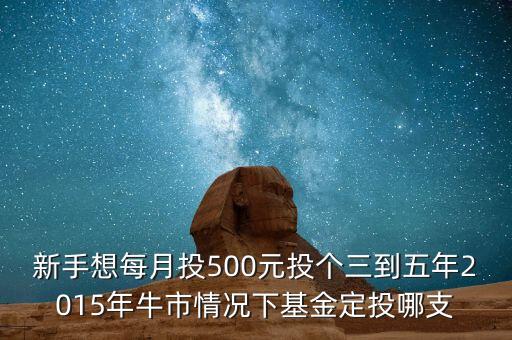 2015年新手買什么基金好，2015買什么基金比較好