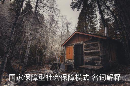 保障型保險(xiǎn)什么意思，國家保障型社會保障模式 名詞解釋