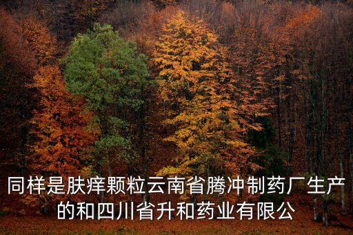 騰沖制藥廠是什么企業(yè)，云南騰沖制藥廠制造的人參再造丸