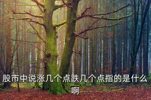 股市中說漲幾個(gè)點(diǎn)跌幾個(gè)點(diǎn)指的是什么啊