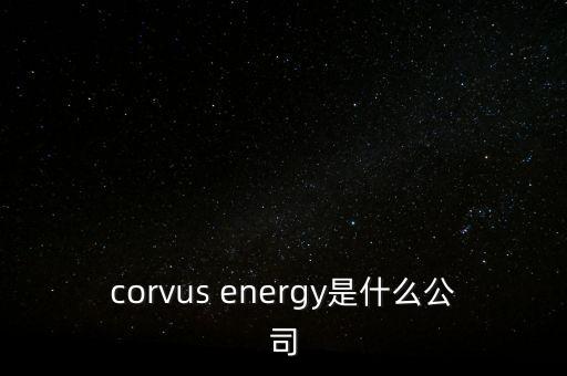 智慧松德是什么公司，corvus energy是什么公司