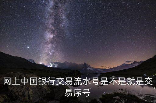 中國(guó)銀行企業(yè)網(wǎng)銀轉(zhuǎn)賬批次號(hào)什么意思，企業(yè)網(wǎng)銀客戶號(hào)是什么意思