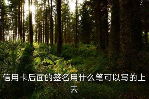 信用卡后面的簽名用什么筆可以寫(xiě)的上去