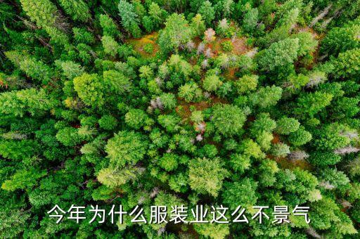 服裝業(yè)為什么不景氣，現在服裝企業(yè)為什么這么不景氣