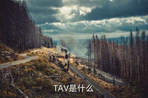 什么是孕線，TAV是什么