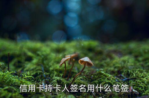 信用卡用什么筆簽名，信用卡持卡人簽名用什么筆簽