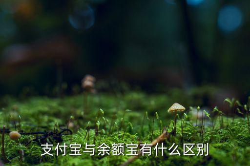支付寶錢包跟余額寶有什么區(qū)別，支付寶錢包賬戶余額跟余額寶有什么不同