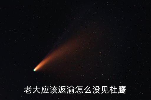 張曉強杜鷹為什么，發(fā)改委副主任杜鷹是誰的孩子