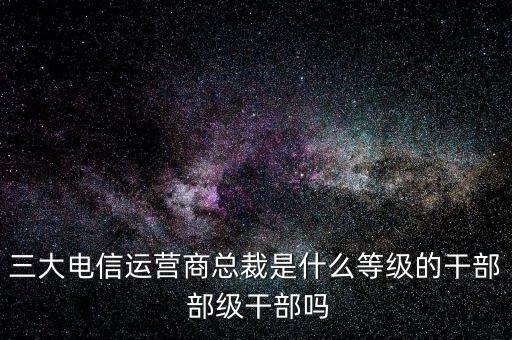 溫冬芬是什么級別，安徽省天長市市委書記的行政級別是什么