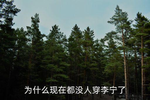 李寧為什么不行了，李寧公司為何一夜垮臺
