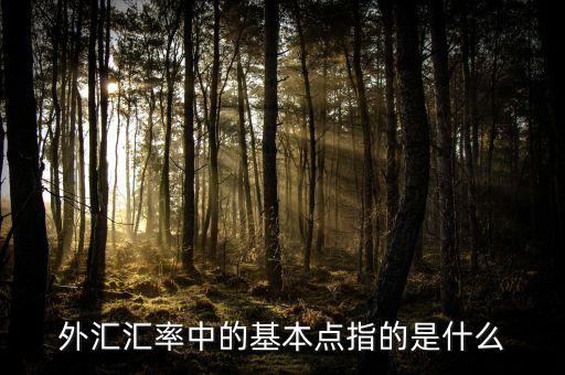 外匯基點(diǎn)是什么意思，外匯匯率中的基本點(diǎn)指的是什么