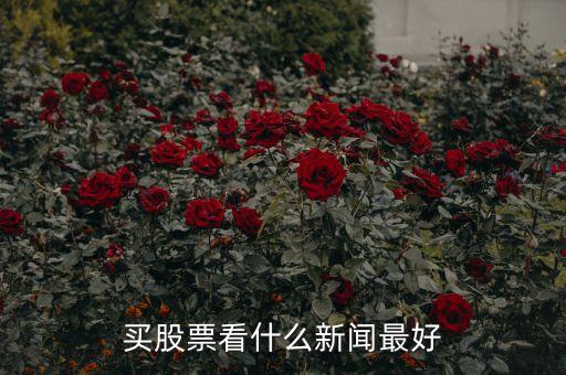 炒股看什么看什么財經(jīng)，有什么比較好的推薦股票的財經(jīng)節(jié)目