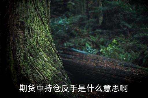 期貨中的反手什么意思，期貨中持倉(cāng)反手是什么意思啊