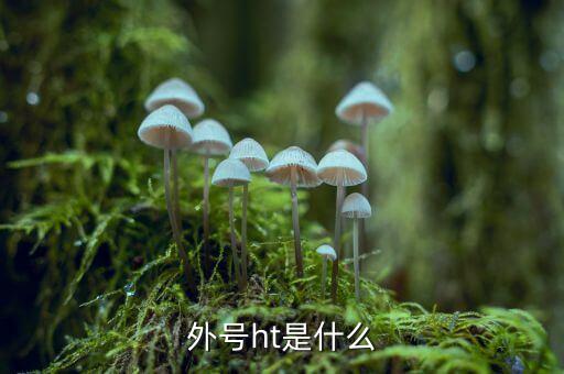 買受人號碼ht是什么，備案合同中買受人號碼HT