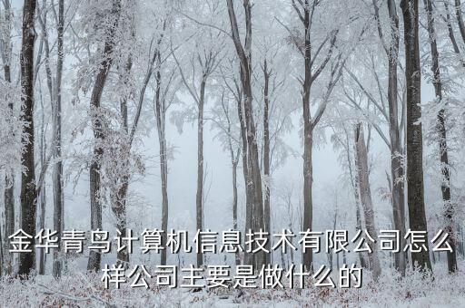青鳥華光是做什么的，送機員是做什么的