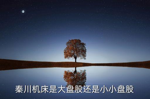 秦川機(jī)床是什么板塊的，600248是屬于什么板塊的股有潛力沒的能看高到多少價(jià)位