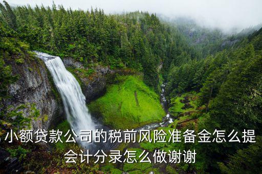 小貸公司風險撥備是什么，風險撥備金是什么樂錢有嗎