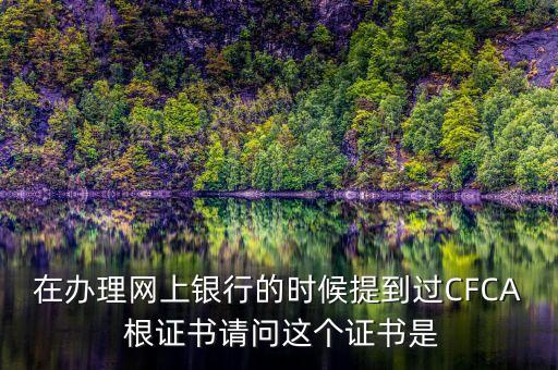在辦理網(wǎng)上銀行的時(shí)候提到過(guò)CFCA 根證書請(qǐng)問(wèn)這個(gè)證書是