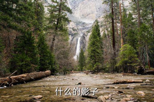什么影子審查，什么的影子