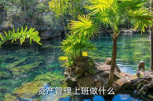 資產(chǎn)管理做什么，資產(chǎn)管理上班做什么