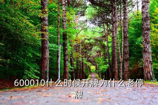 迪森股份什么時(shí)候開牌，600010什么時(shí)候開牌為什么老停牌