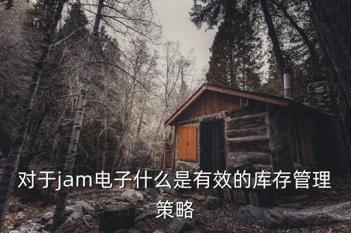 對(duì)于jam電子什么是有效的庫存管理策略