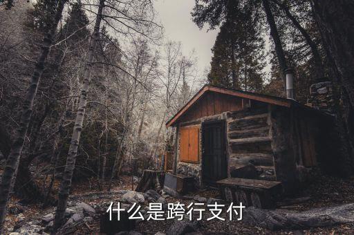 什么是跨行清算，什么叫跨行