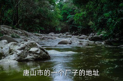 同方國芯的總部為什么在玉田縣，唐山市的一個廠子的地址