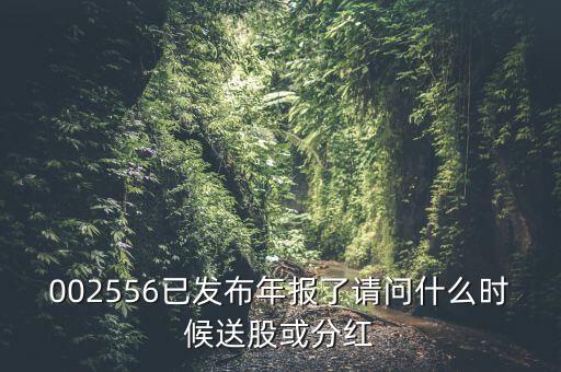 深圳能源什么時候送股，深圳能源什么時候送股