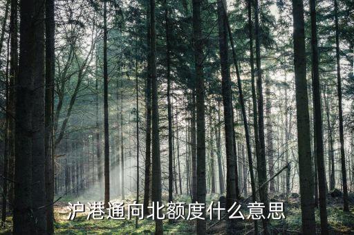 滬港通余額什么意思，滬港通北向交易單日額度余額是什么意思