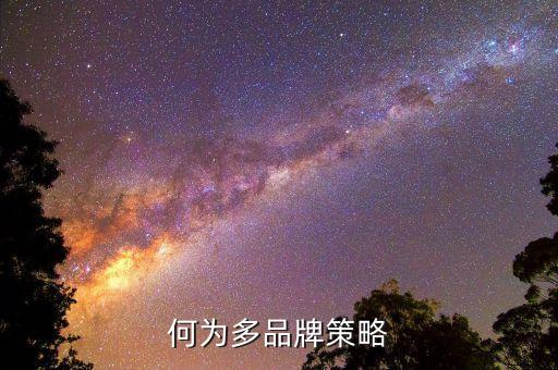 什么是多策略，何為多品牌策略