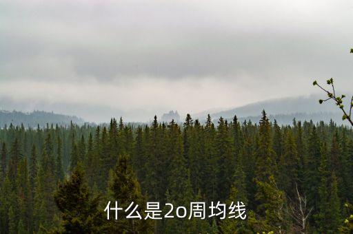 什么是20周均線，想問(wèn)一下股票大盤(pán)20周均線是什么點(diǎn)位