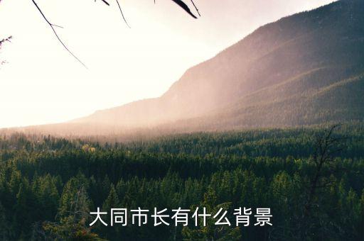 王挺革有什么背景，a rose for amily 的寫作背景是什么