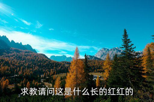 楊定平是什么的會(huì)長，誰知道華東交大大二的軟件工程部長也許叫會(huì)長是誰叫什么名字
