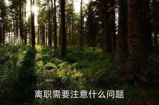 華北制藥辭職需要注意什么，辭職應(yīng)該注意些什么呢