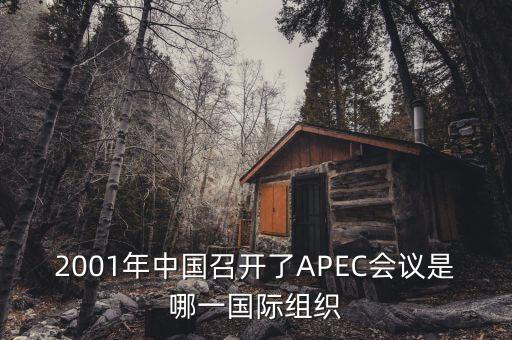 中國舉行合作論壇首次論壇是什么，論壇是什么