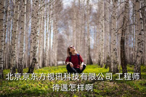 京東方視迅是什么公司，北京京東方視訊科技有限公司 工程師待遇怎樣啊