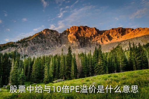 溢價(jià)倍數(shù)是什么，優(yōu)步溢價(jià)是什么意思