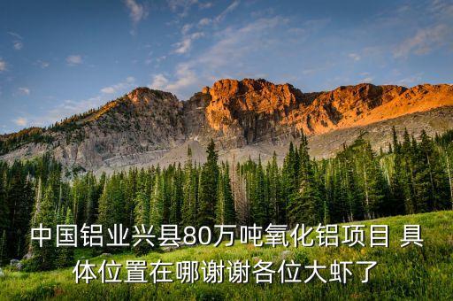 中鋁蔡安輝什么級(jí)別，中國鋁業(yè)興縣80萬噸氧化鋁項(xiàng)目 具體位置在哪謝謝各位大蝦了