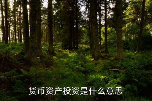 貨幣投資是什么，貨幣投資的概念和管理