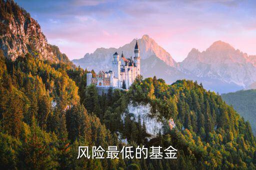 什么基金風(fēng)險(xiǎn)最低，風(fēng)險(xiǎn)最低的基金